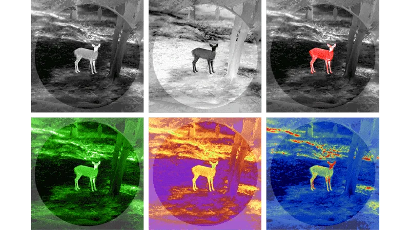 night vision night vision