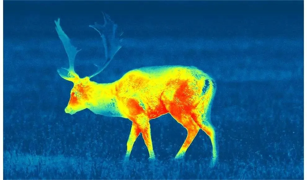 Thermal imaging Thermal imaging